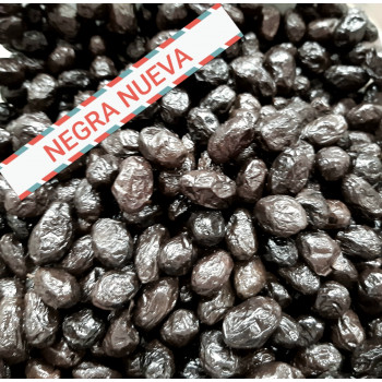 Oliva Negra Nueva (Arrugada)